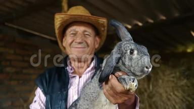 一个戴草帽的<strong>老农</strong>夫正抱着一只灰色的大兔子。 干草背景下男人的肖像
